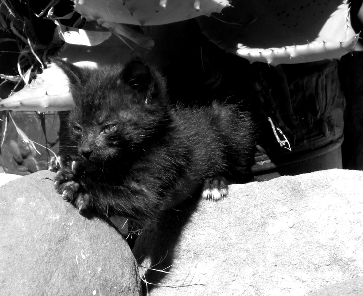 Photography by ASpedition for DesignCrowd (Community Contests) | Design #8980772