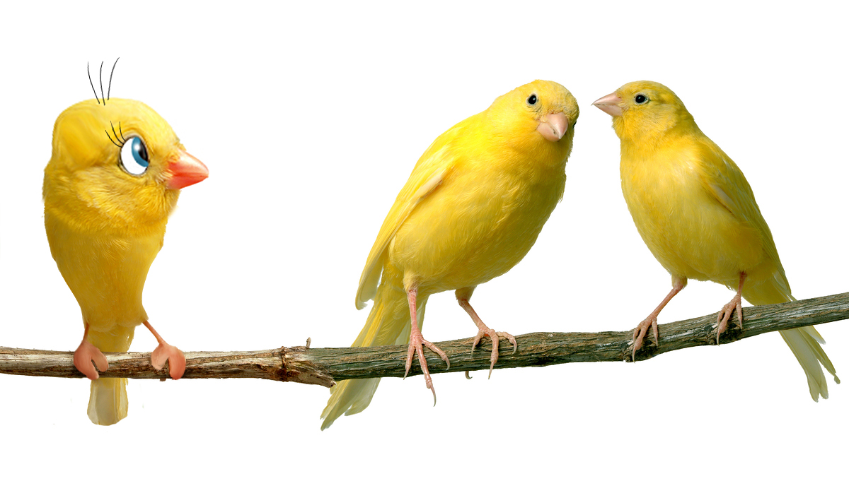 Photoshop Design by ginger82 for DesignCrowd (Community Contests) | Design #8977209