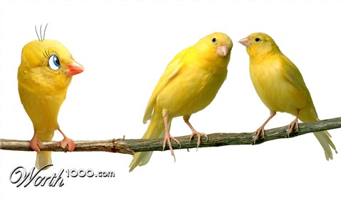 Photoshop Design by ginger82