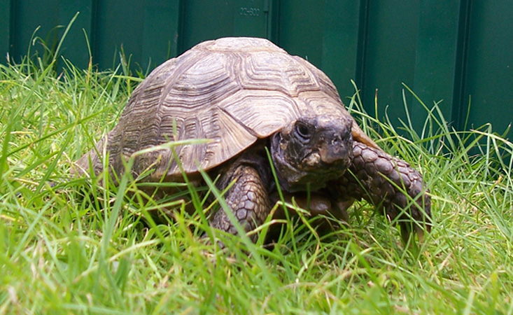 Photography by vixifruit for DesignCrowd (Community Contests) | Design #8980654