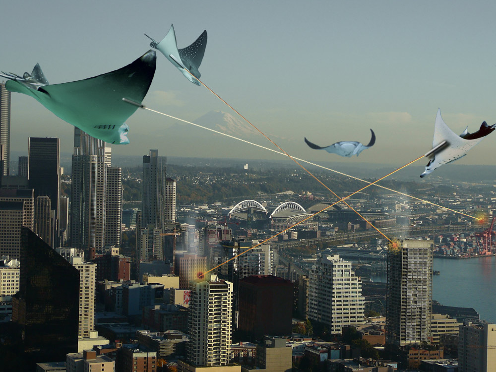 Diseño de Photoshop por Rocksham para DesignCrowd (Community Contests) | Diseño #8978372