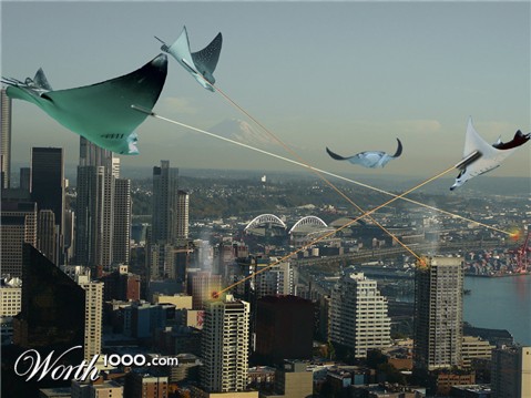 Photoshop Design by Rocksham