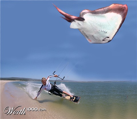 Photoshop Design by maxyutz