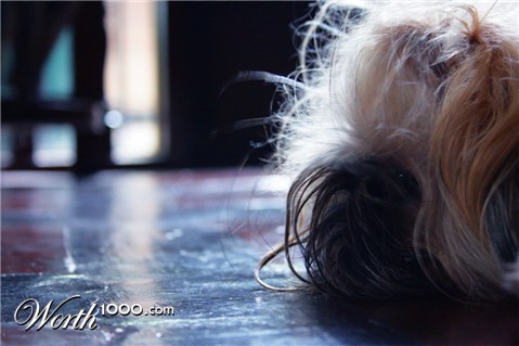 Photography by keboin