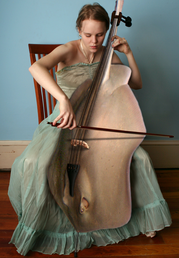 Diseño de Photoshop por lucimine para DesignCrowd (Community Contests) | Diseño #8978463