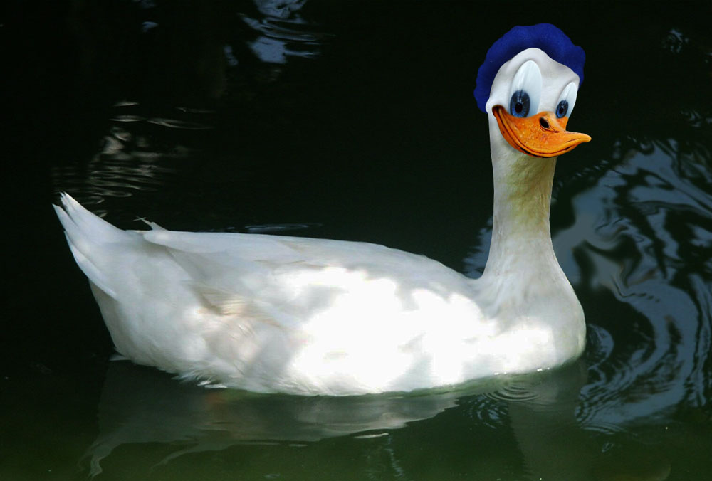 Diseño de Photoshop por wha7ever para DesignCrowd (Community Contests) | Diseño #8977276