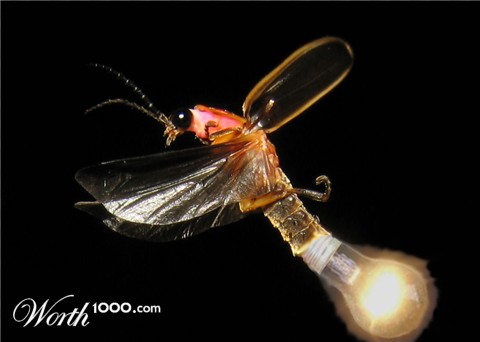 Photoshop Design by pilcrep