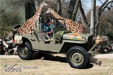 Photoshop Design by msfrigyfrog