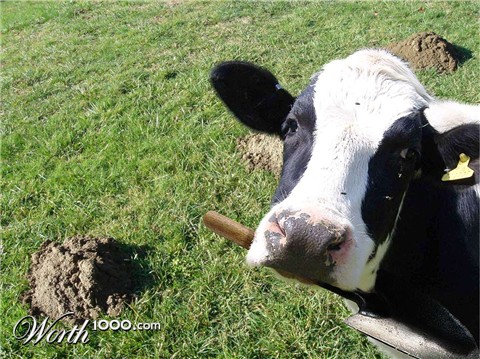 Photoshop Design by raven100