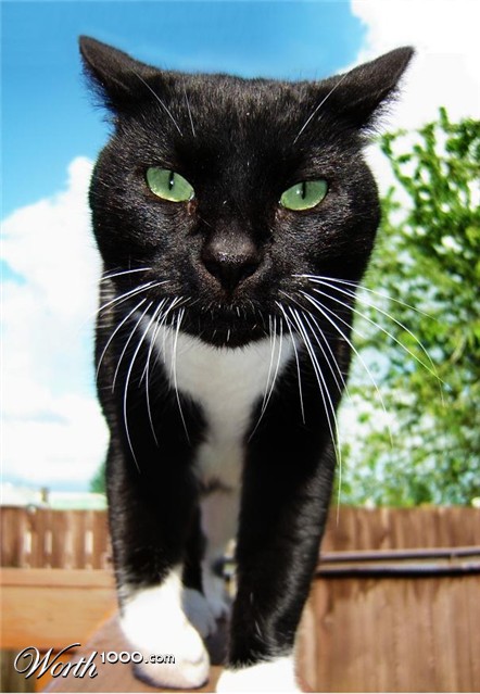 Photography by apsanchez