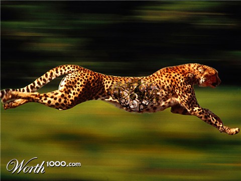 Photoshop Design by max654