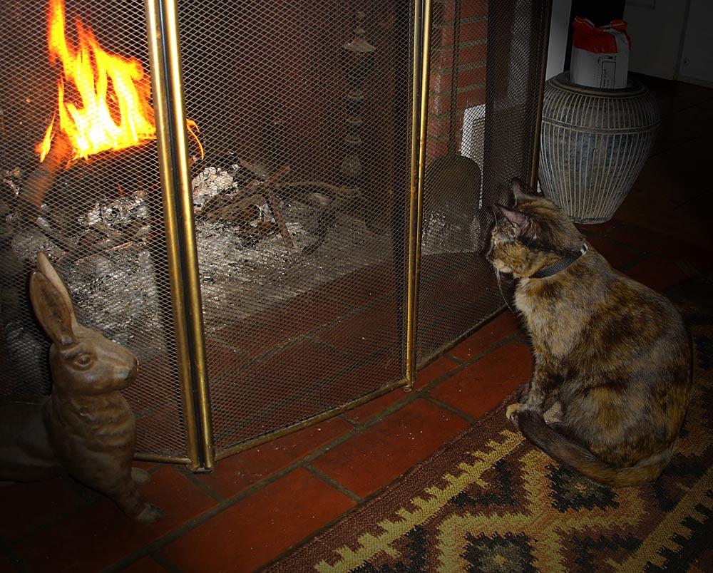 Photographie par jhwdesigns pour DesignCrowd (Community Contests) | Design #8980733