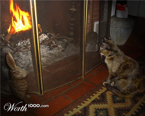 Photography by jhwdesigns