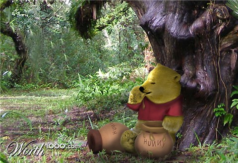 Photoshop Design by Bahamo