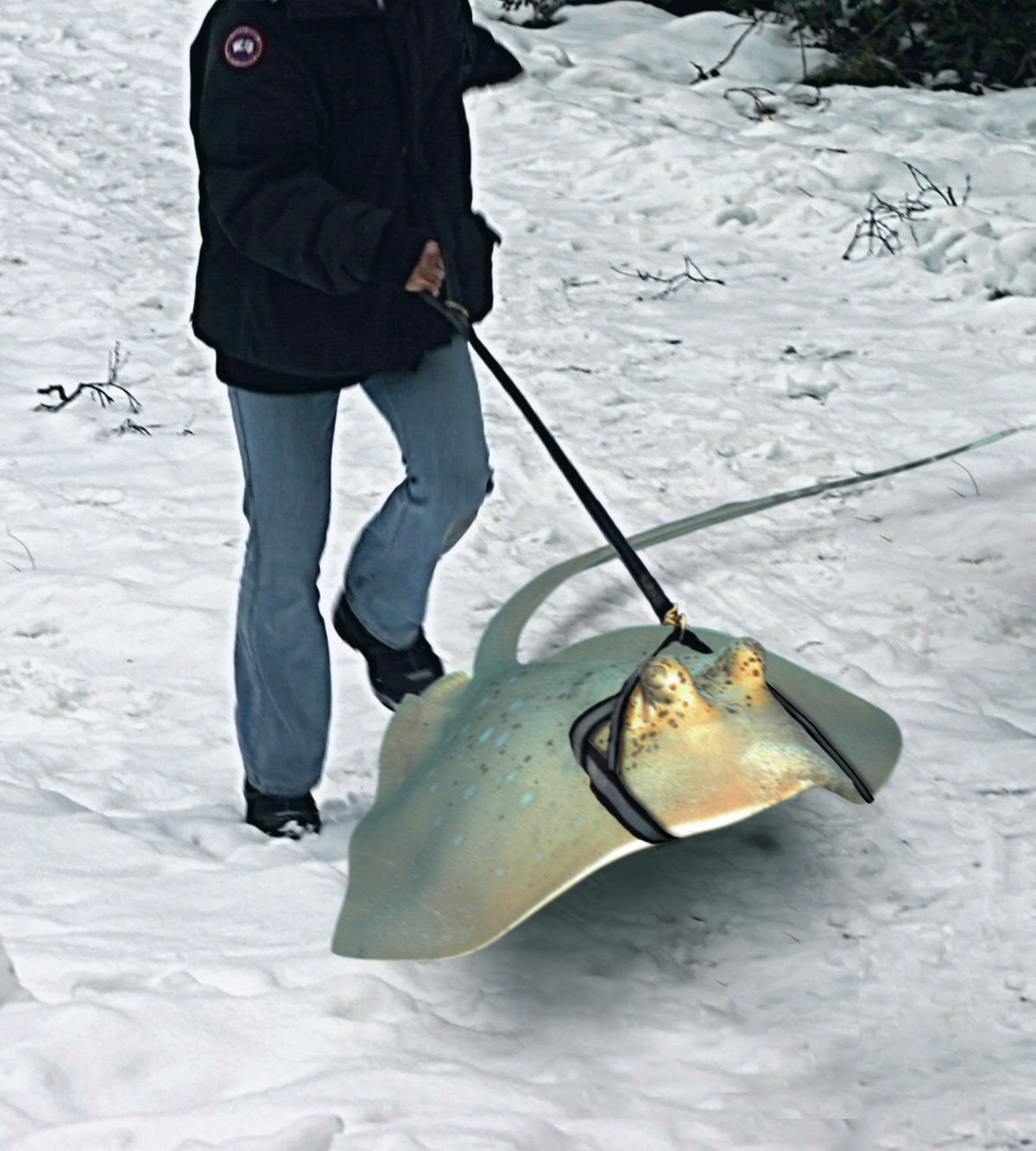 Design Photoshop par LostBritches pour DesignCrowd (Community Contests) | Design #8978413