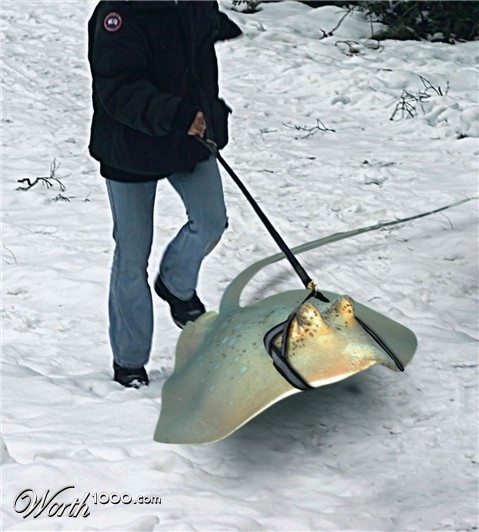 Photoshop Design by LostBritches