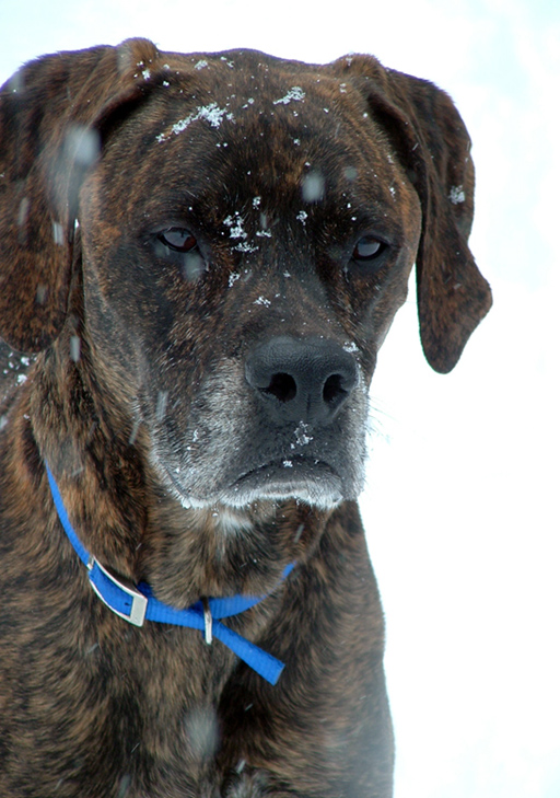 Photography by jen2203 for DesignCrowd (Community Contests) | Design #8980663