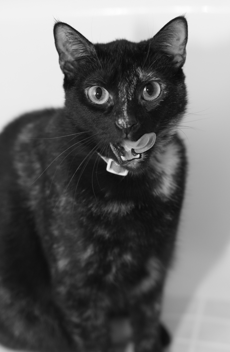 Photography by Oceanicy for DesignCrowd (Community Contests) | Design #8980739