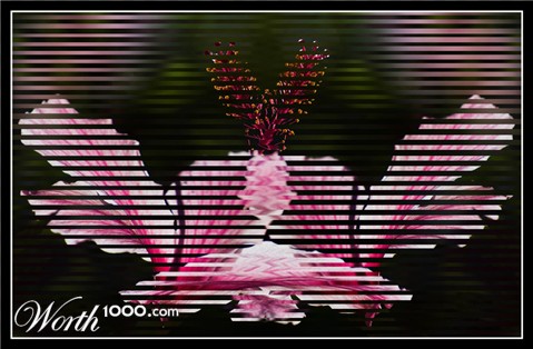 Photography by kimbomac