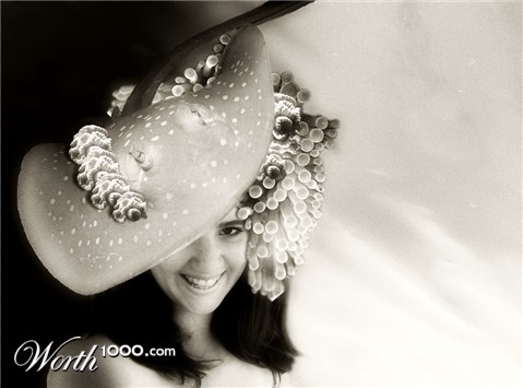 Photoshop Design by WildcardAU