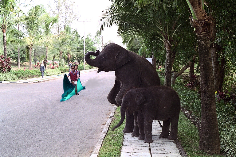 Photoshop Design by ironicsaurav for DesignCrowd (Community Contests) | Design #8978468