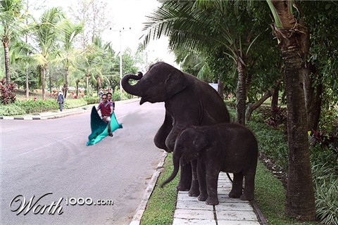 Photoshop Design by ironicsaurav