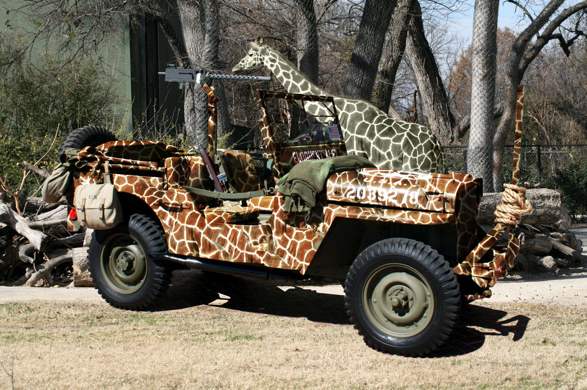 Photoshop Design by WildChildBaby for DesignCrowd (Community Contests) | Design #8978982