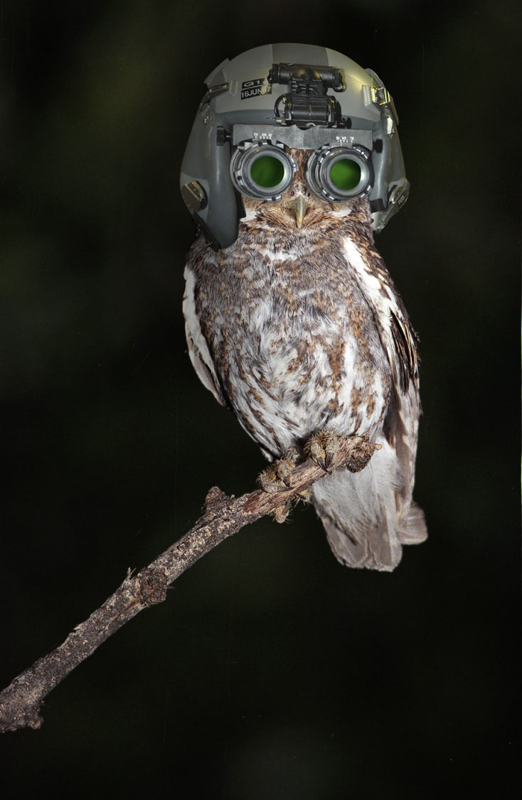 Photoshop Design by benchong for DesignCrowd (Community Contests) | Design #8978013