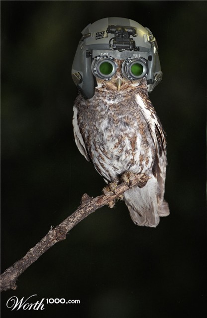 Photoshop Design by benchong