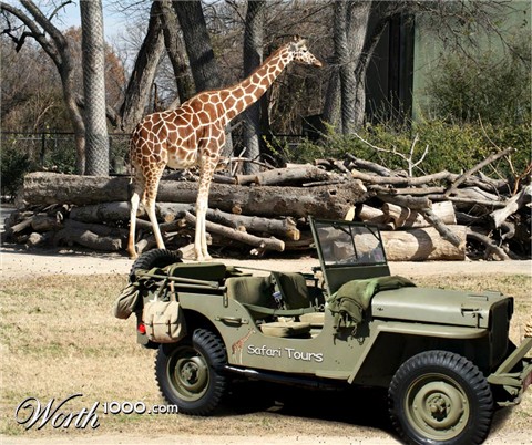 Photoshop Design by argosaries