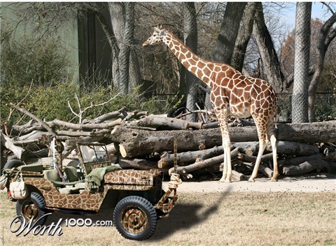 Photoshop Design by kryptonenerio