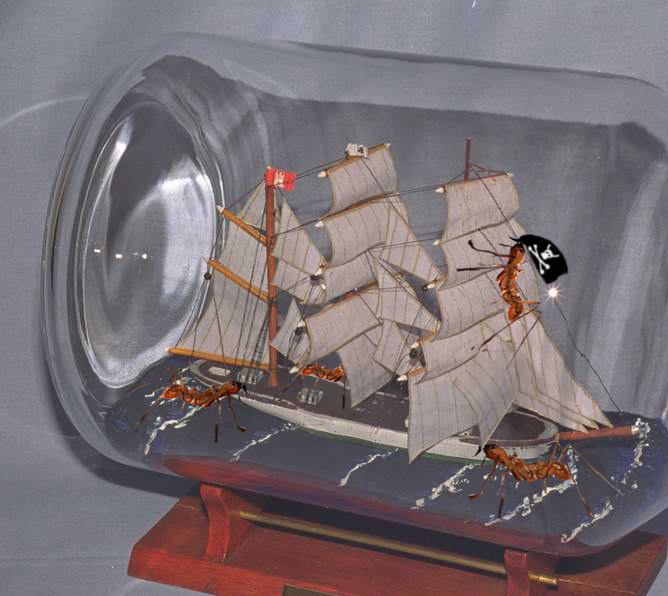 Photoshop Design by bicyclewilli for DesignCrowd (Community Contests) | Design #8984165