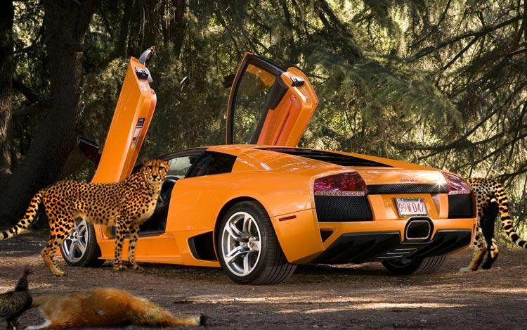 Photoshop Design by pissboltnpony for DesignCrowd (Community Contests) | Design #8978018