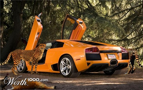 Photoshop Design by pissboltnpony