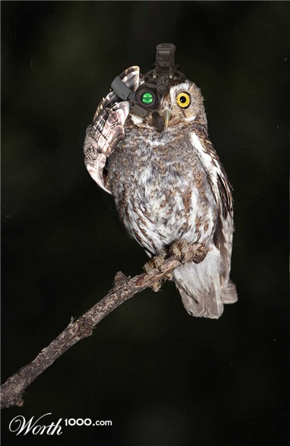 Photoshop Design by eakilit