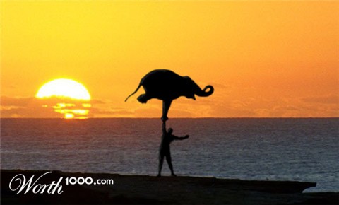 Photoshop Design by orb505