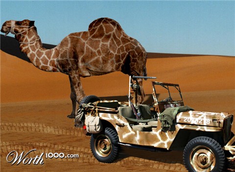 Photoshop Design by makubex