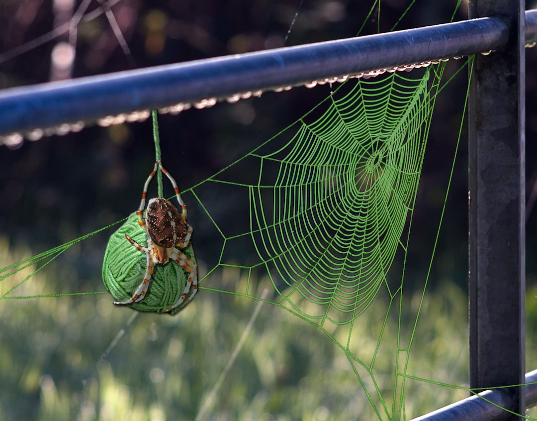 Photoshop Design by maxyhulk for DesignCrowd (Community Contests) | Design #8978059