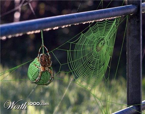 Photoshop Design by maxyhulk