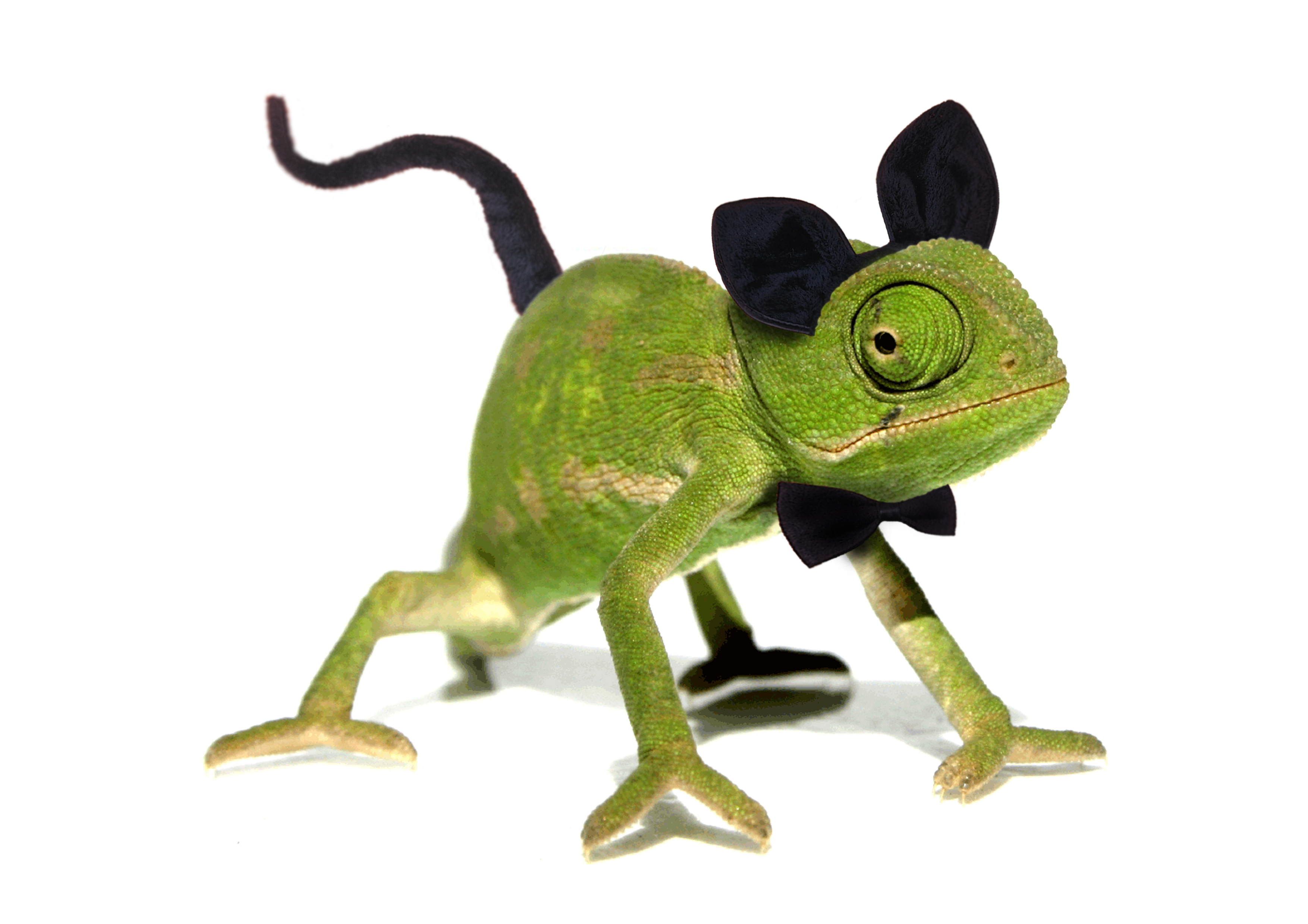 Photoshop Design by Tixevil for DesignCrowd (Community Contests) | Design #8978056