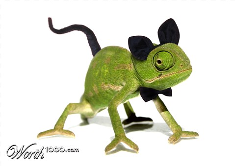 Photoshop Design by Tixevil