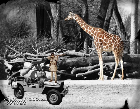 Photoshop Design by harveyy