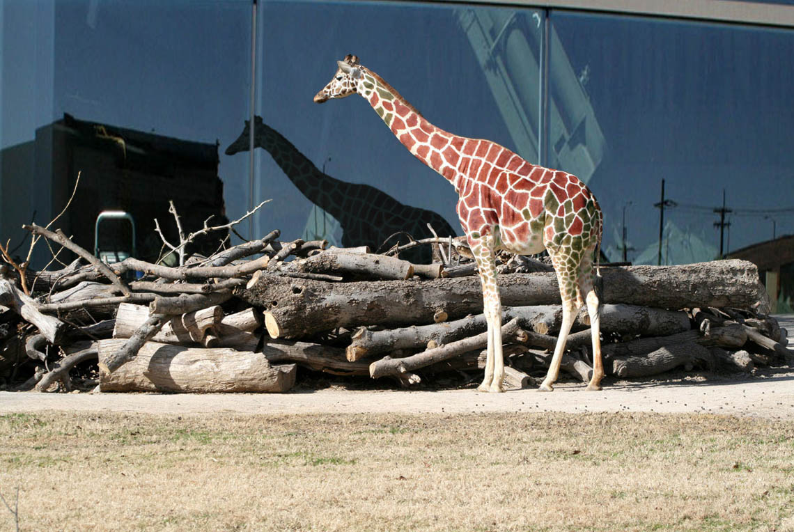 Diseño de Photoshop por OlofSeg para DesignCrowd (Community Contests) | Diseño #8979033