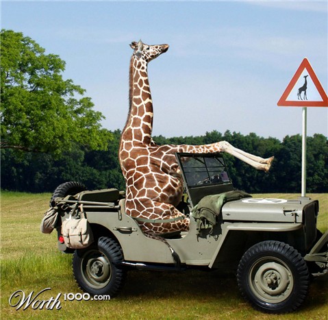 Photoshop Design by fanucci