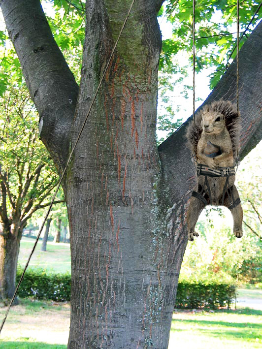 Design Photoshop par northman pour DesignCrowd (Community Contests) | Design #8978045