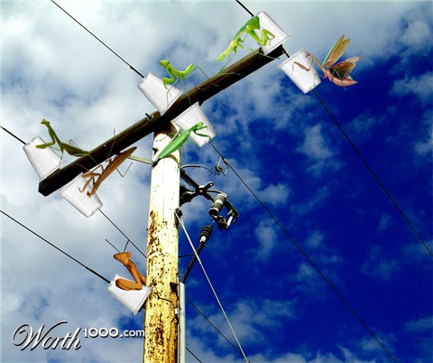 Photoshop Design by lostlittlegirl