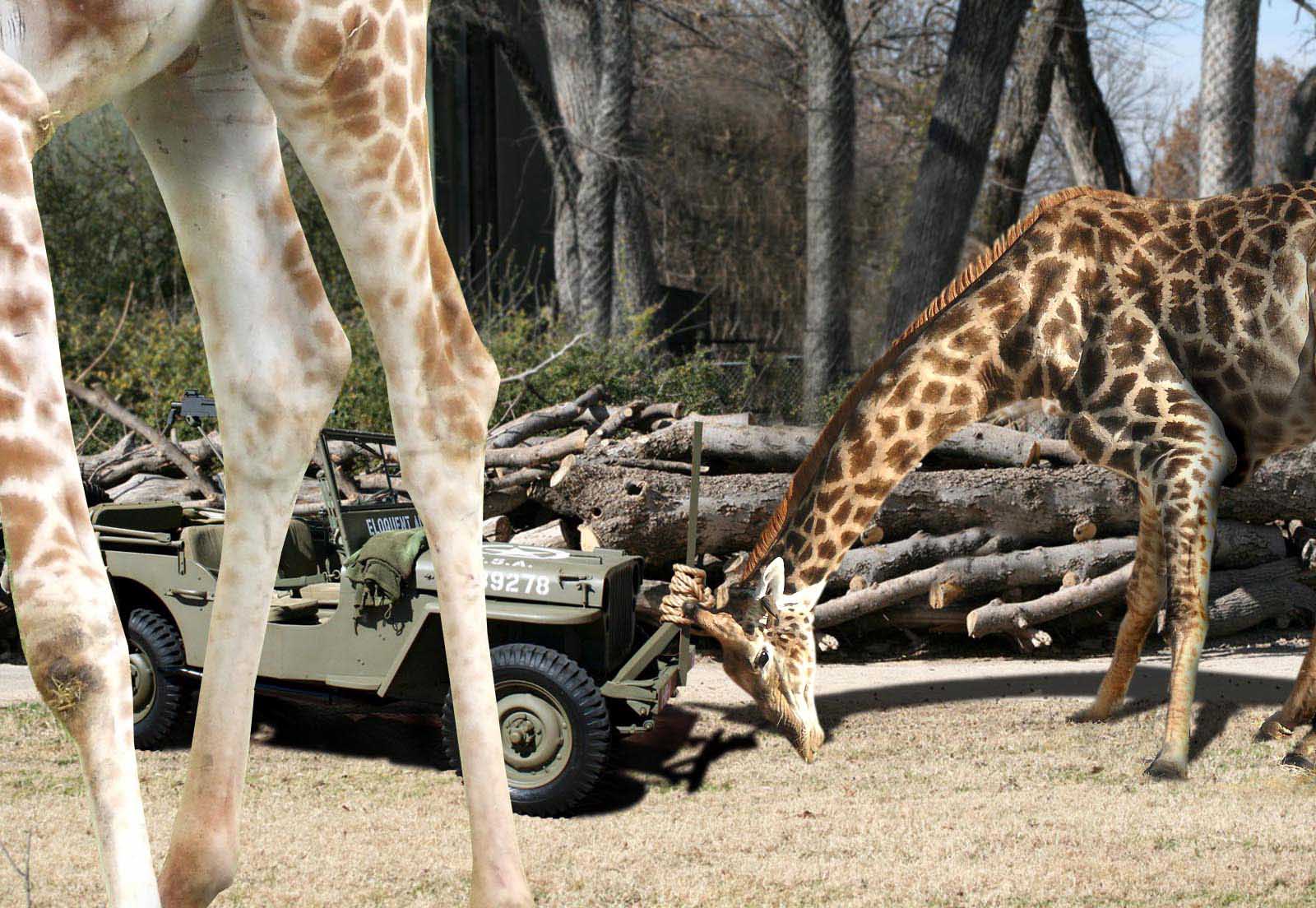 Photoshop Design by Sankrah for DesignCrowd (Community Contests) | Design #8978987