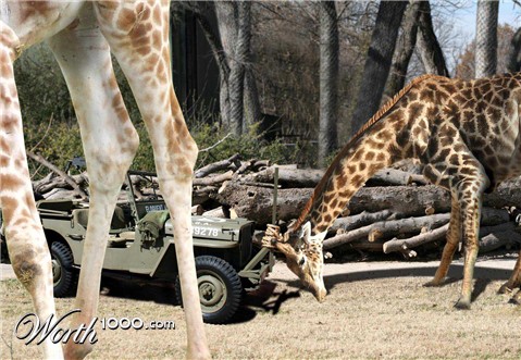 Photoshop Design by Sankrah