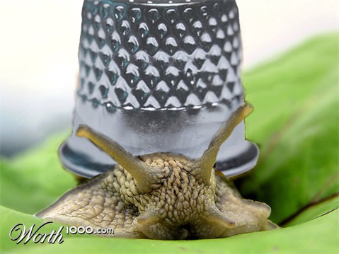 Photoshop Design by pilcrep