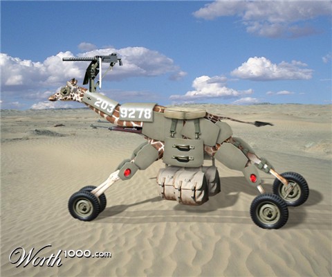 Photoshop Design by Lunacy Interactive